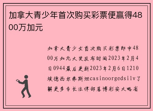 加拿大青少年首次购买彩票便赢得4800万加元